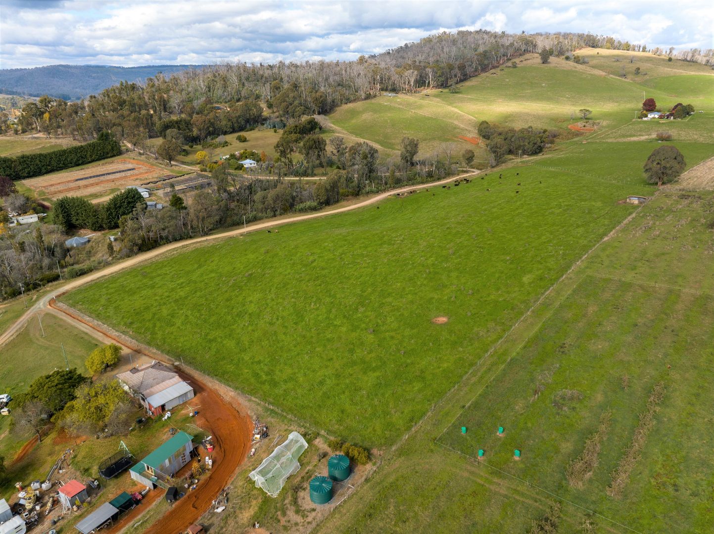  Mines Road, Batlow NSW 2730 House for Sale Domain