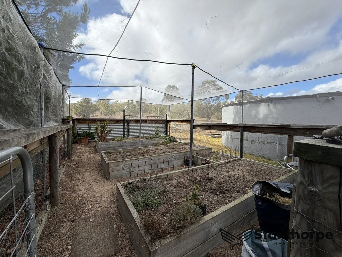 Image 34