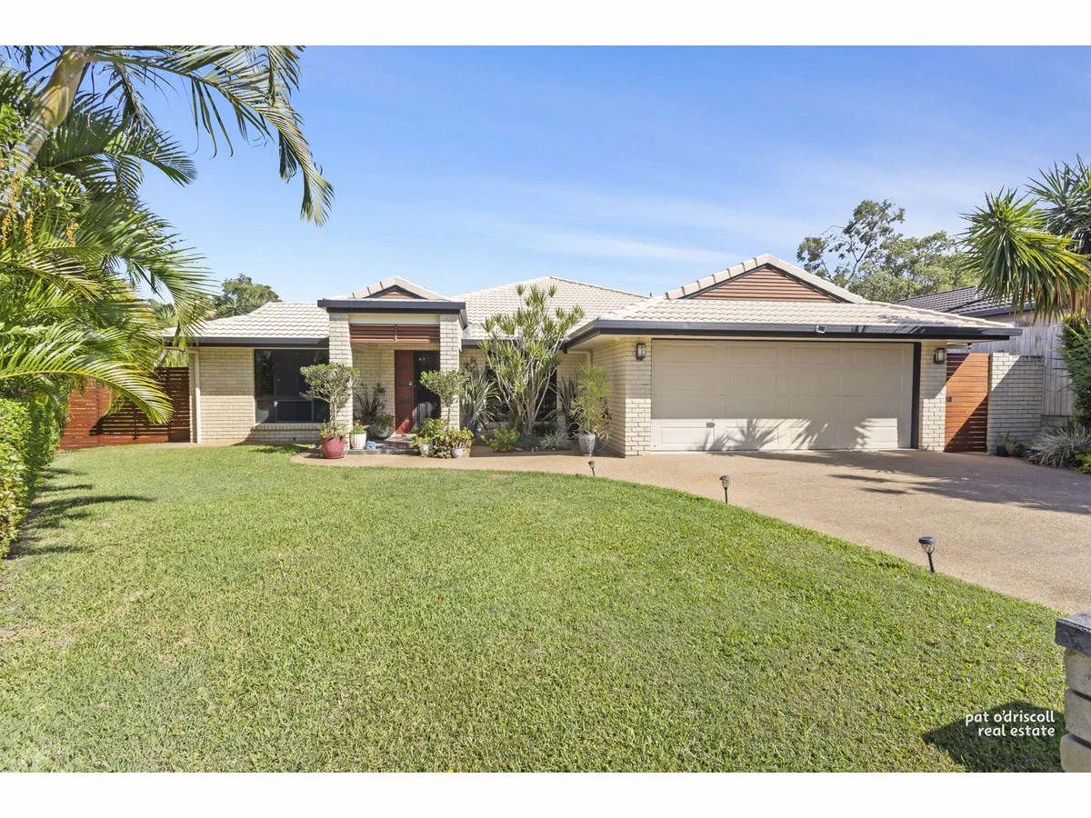 11 Treefern Terrace, Frenchville QLD 4701