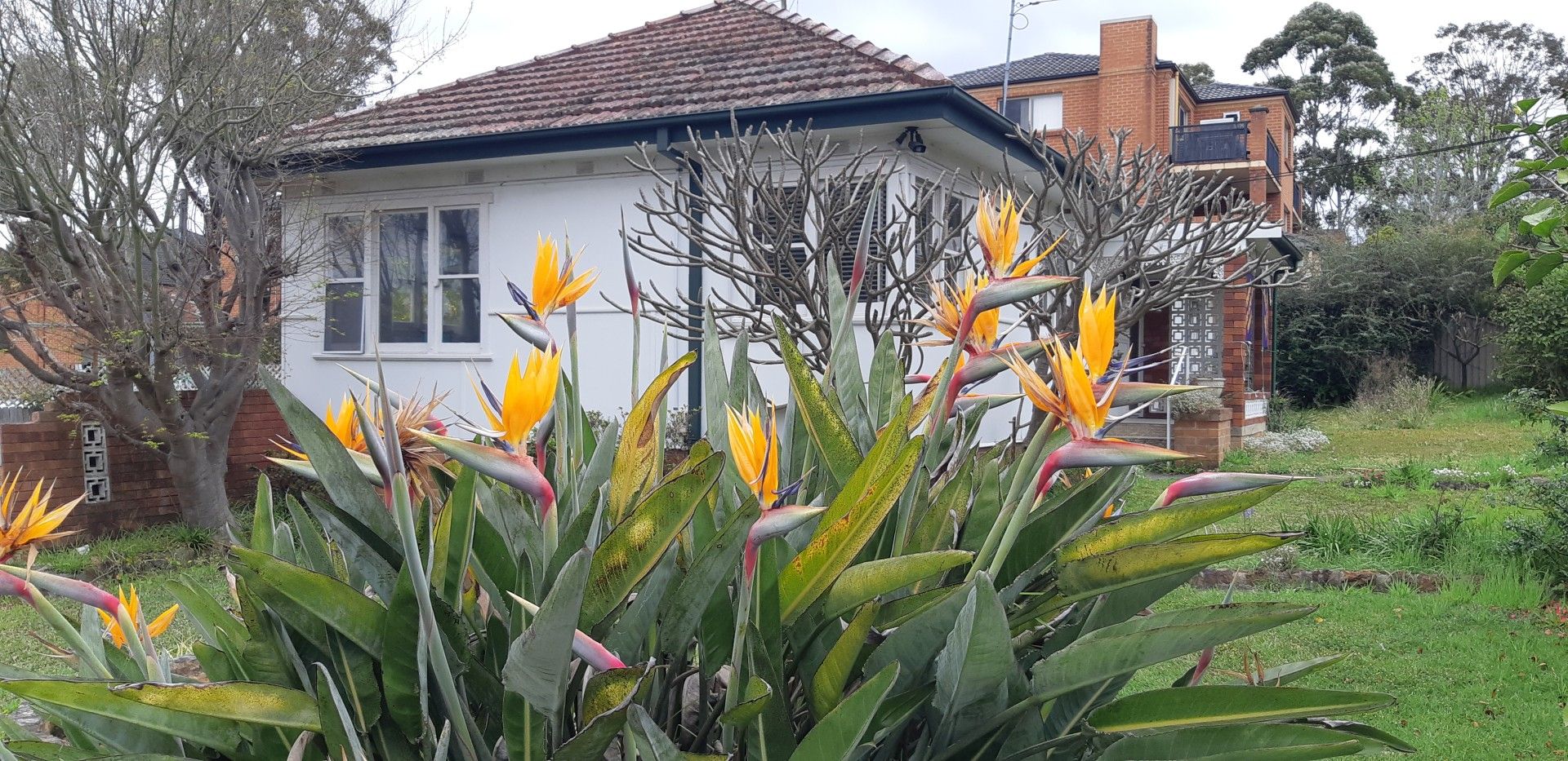 2 Preston Avenue, Engadine NSW 2233 Domain