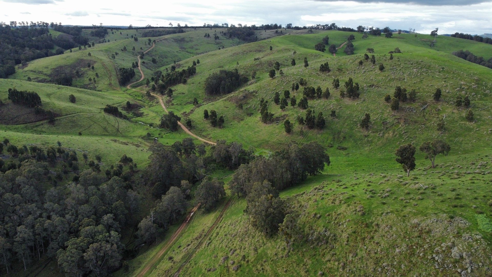 Portion of Cundinup-Dudinyillup Road, Nannup WA 6275, Image 0