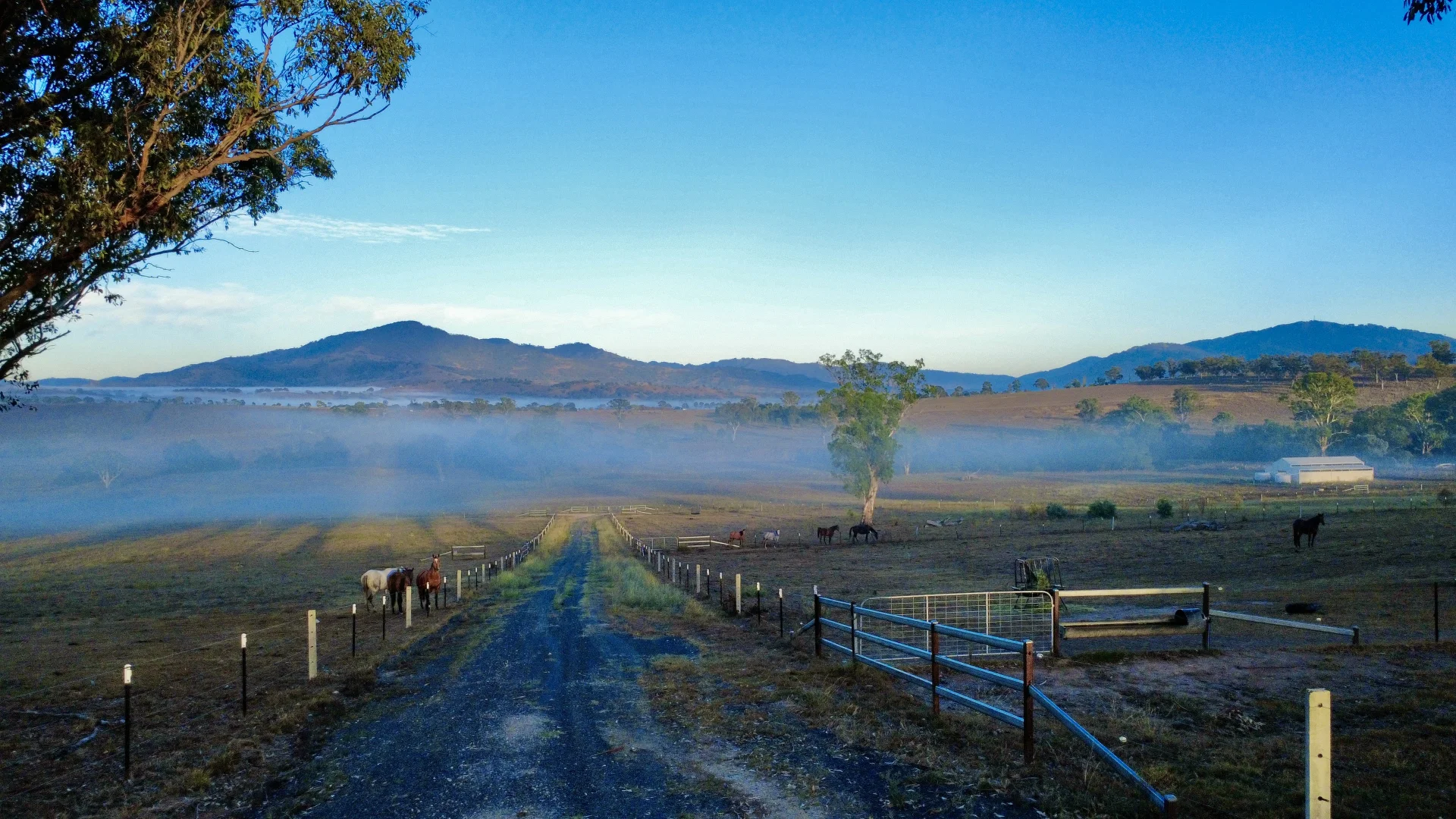 Additional image 7 of "Brentwood Park" 80 Sandy Creek Road, Blandford NSW 2338