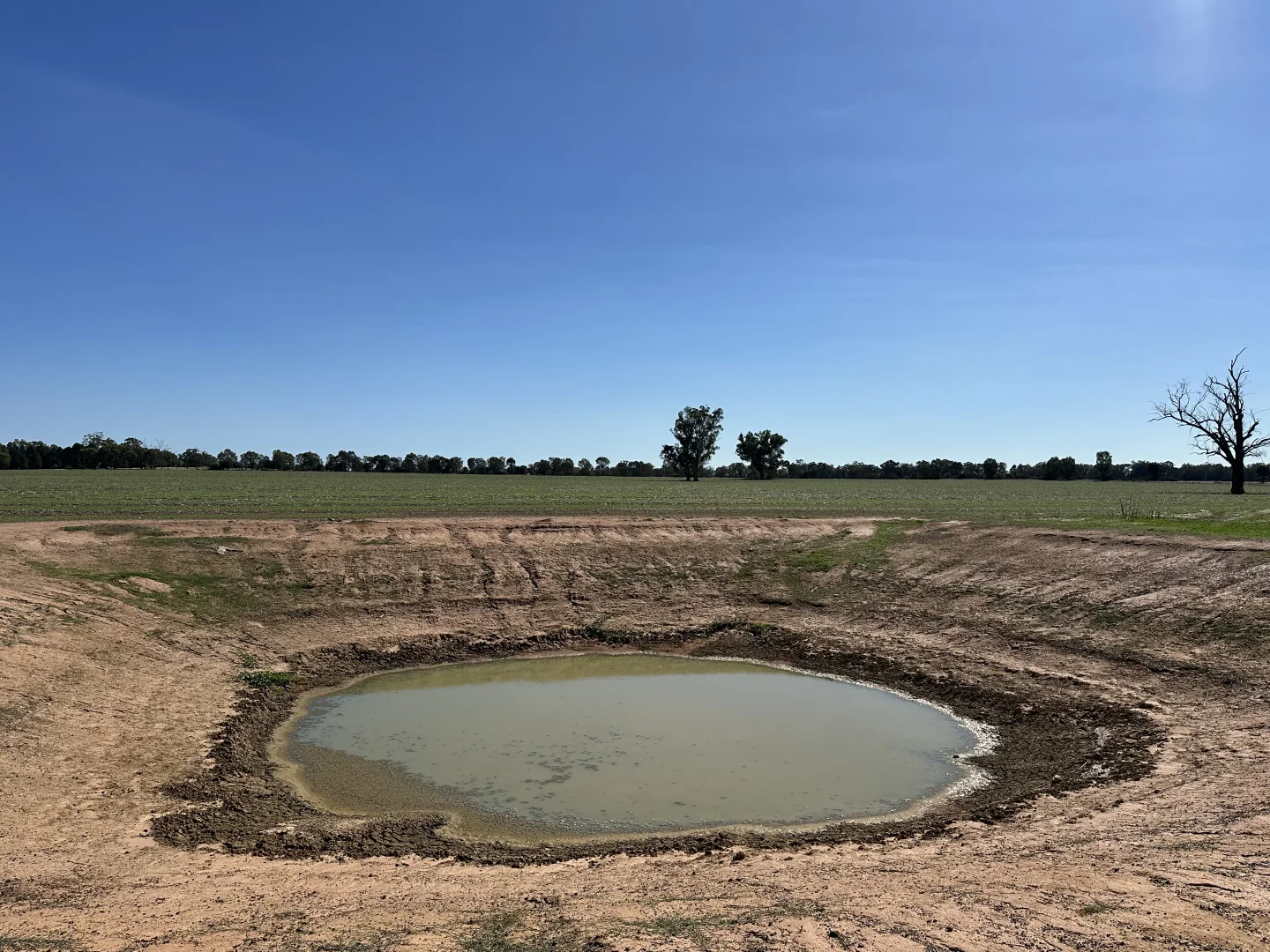 Additional image 14 of . Lilydale Road, Balldale NSW 2646