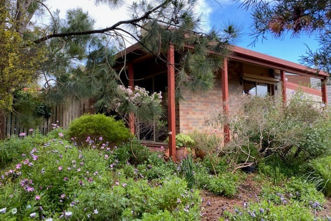 Picture of 8 Springhill Court, QUEENSCLIFF VIC 3225