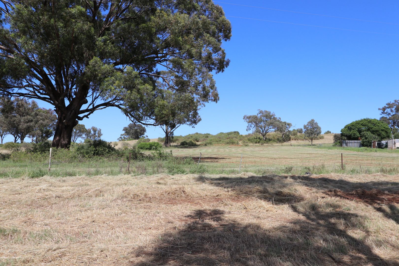 4587 Old Cootamundra Road, Temora NSW 2666, Image 2