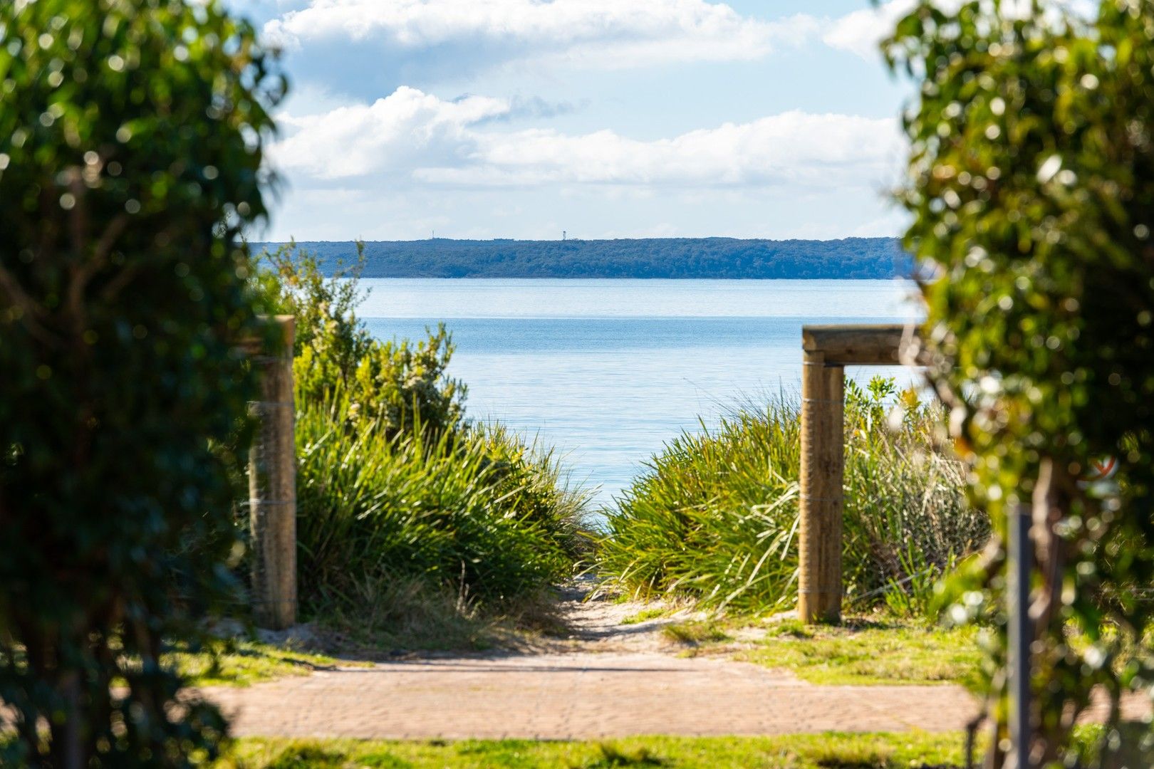 3 bedrooms House in 31 Illfracombe Avenue VINCENTIA NSW, 2540