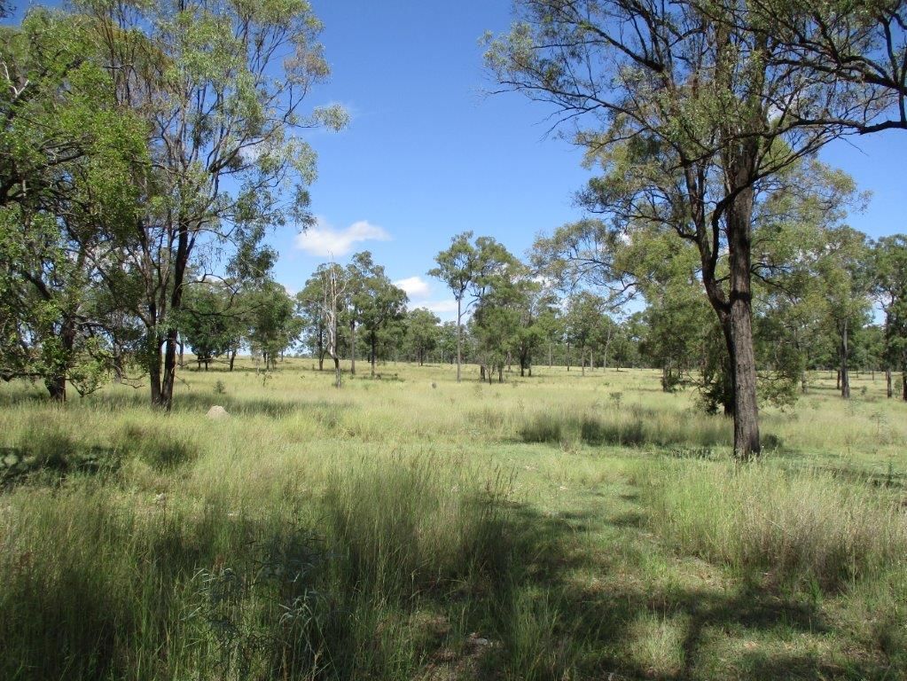 1230 ACRES, Proston QLD 4613 - House for Sale - $1,950,000 | Domain