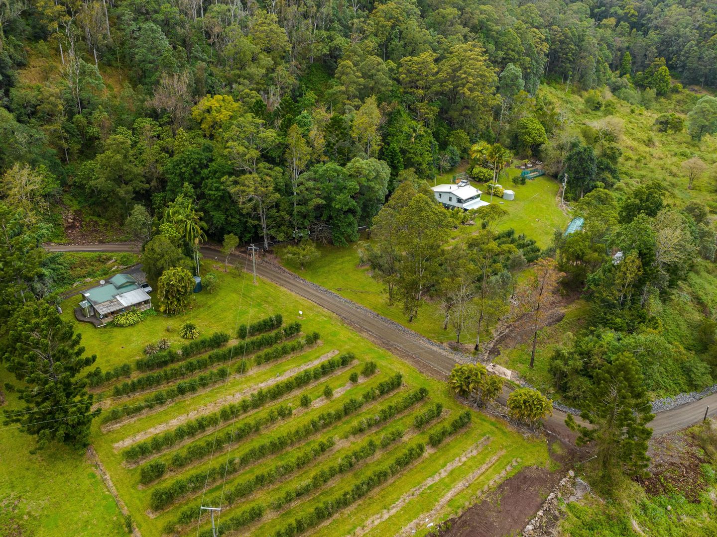 280 Davis Road, Jiggi NSW 2480, Image 2