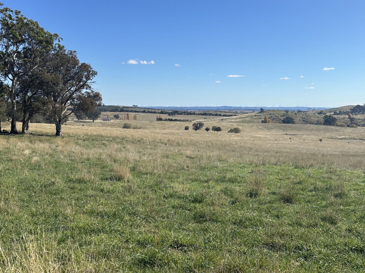 Old Biala Biala Road, Gunning NSW 2581, Image 0