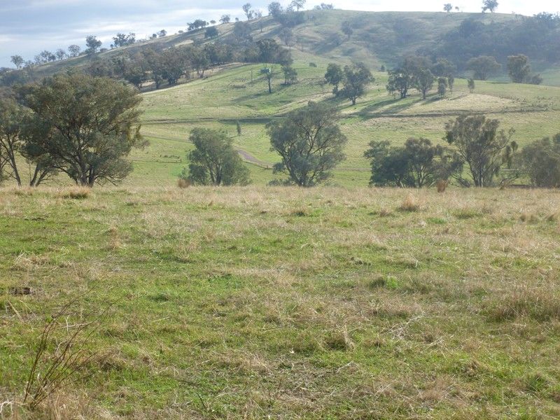 Lot 3 Altmeier Lane, SPLITTERS CREEK NSW 2640, Image 1