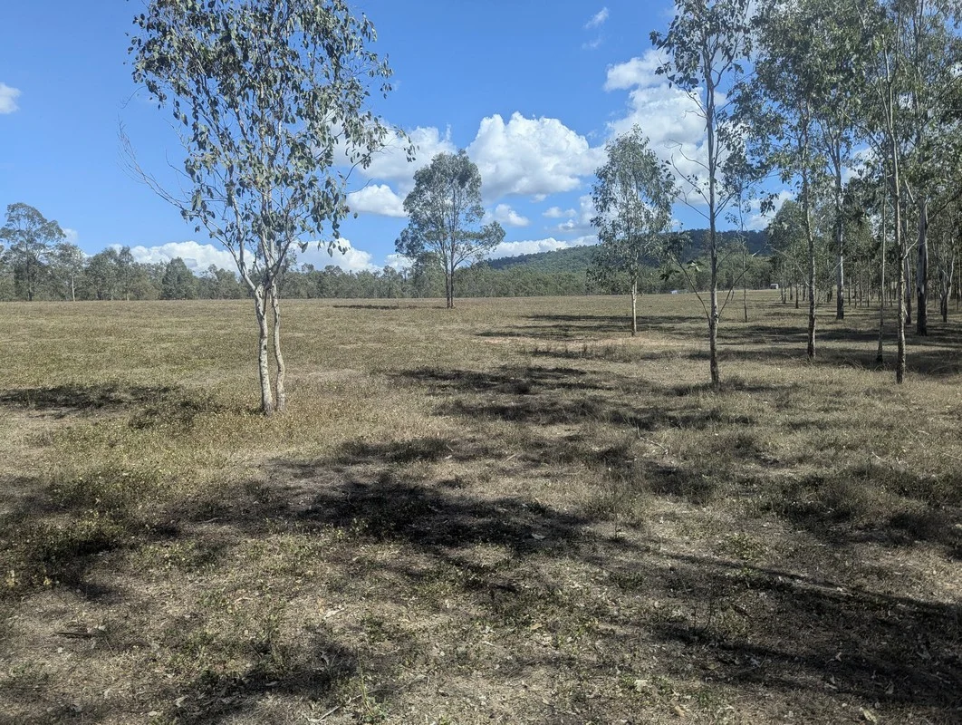 Image 25