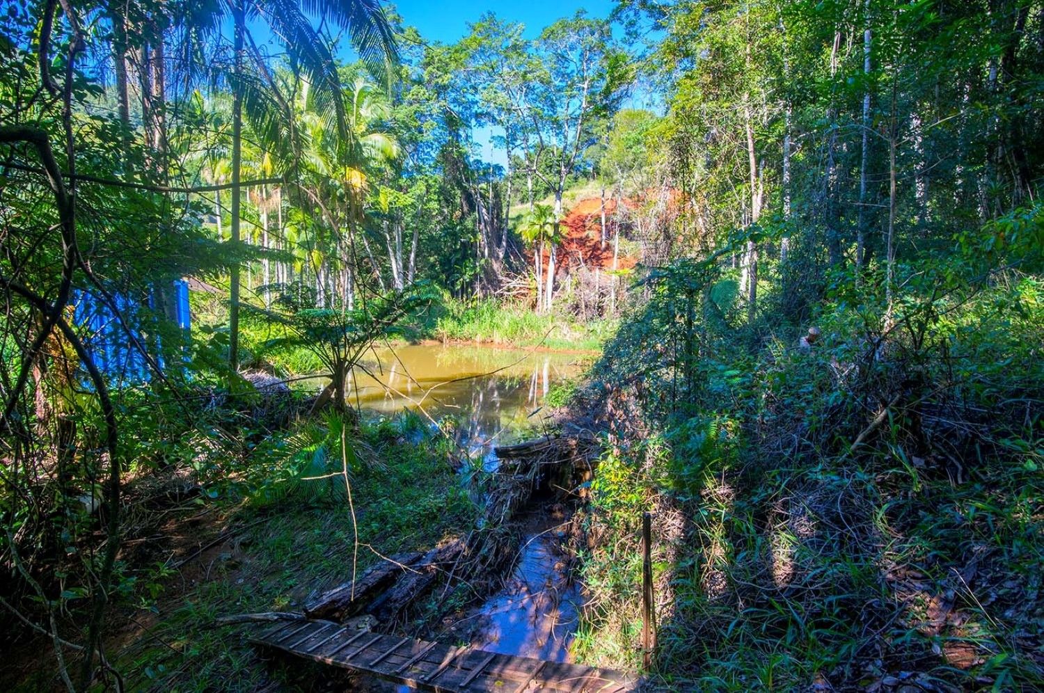 90 Geles Road, Upper Burringbar NSW 2483, Image 1