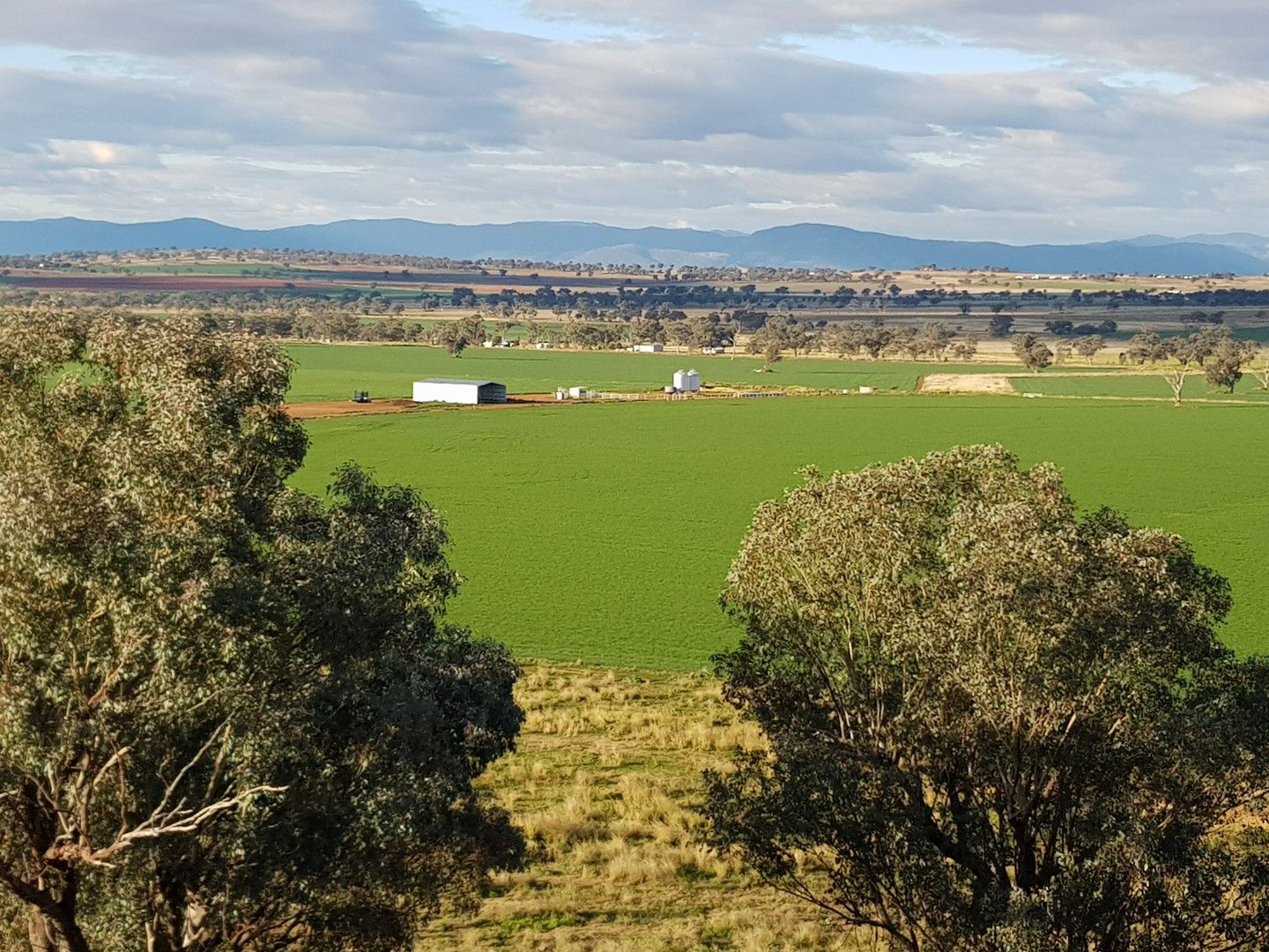 'Inverness' Old Winton Road, Tamworth NSW 2340 Farm for Sale