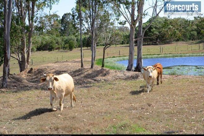 Picture of 55 Beelbi Creek Road, BEELBI CREEK QLD 4659