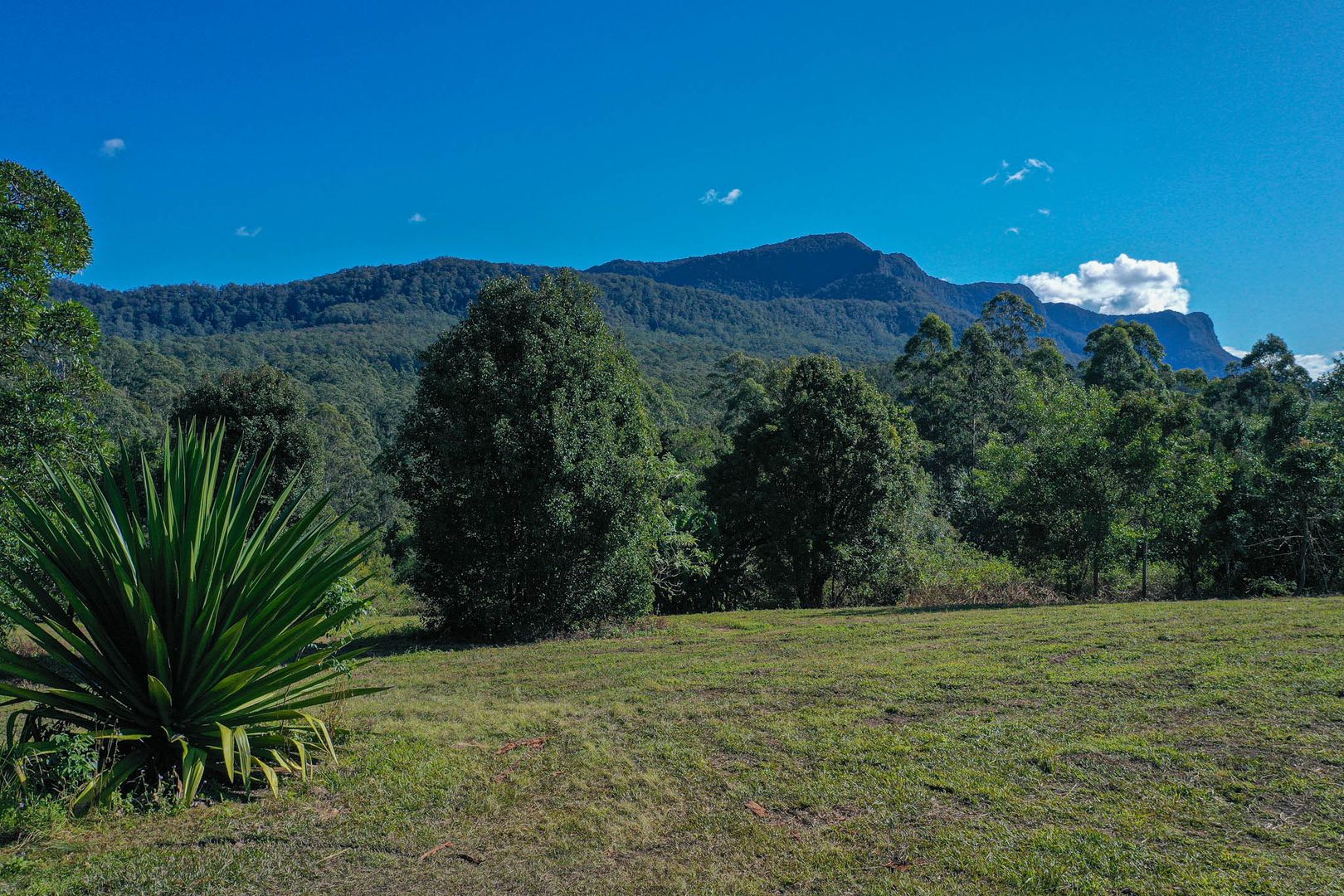 76 Coalmine Road, Mount Burrell NSW 2484, Image 2