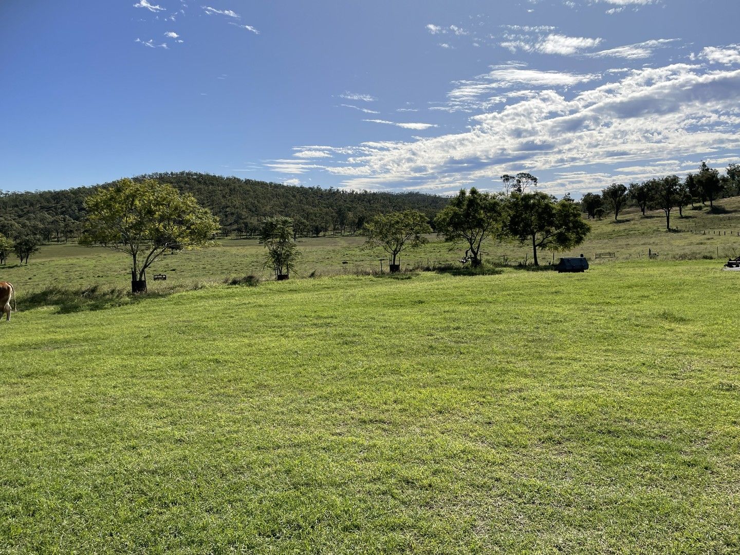 3 bedrooms Rural in 305 Youlambie Road BUKALI QLD, 4630
