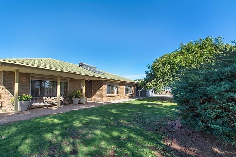 441 Murbko Road, Morgan SA 5320, Image 0