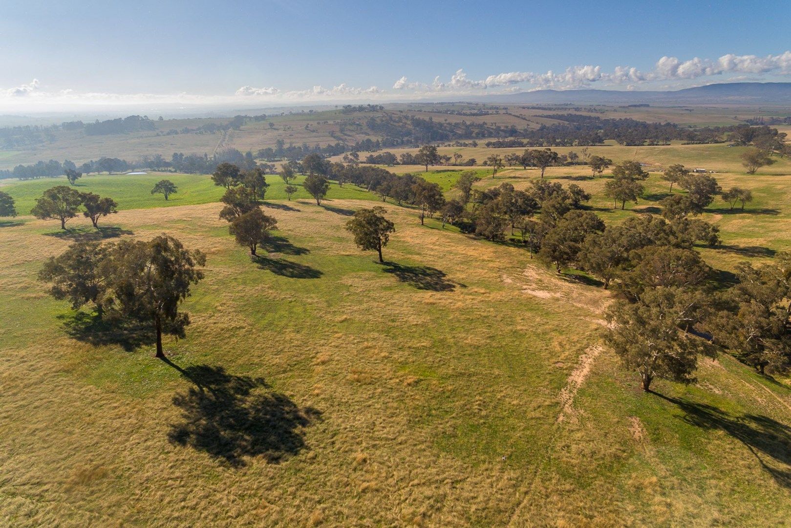 165 Bidgeribbin Road, Gormans Hill NSW 2795, Image 0