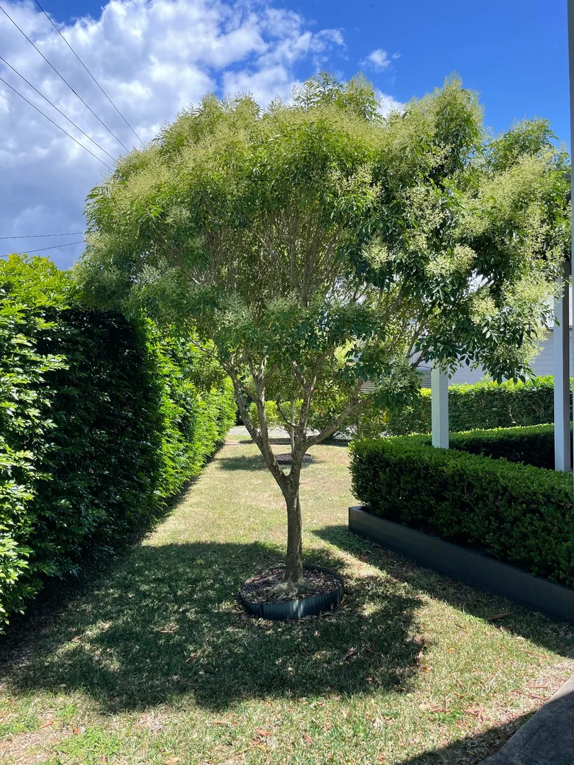 Additional image 7 of 2/106 Turnbull Street, Hamilton South NSW 2303