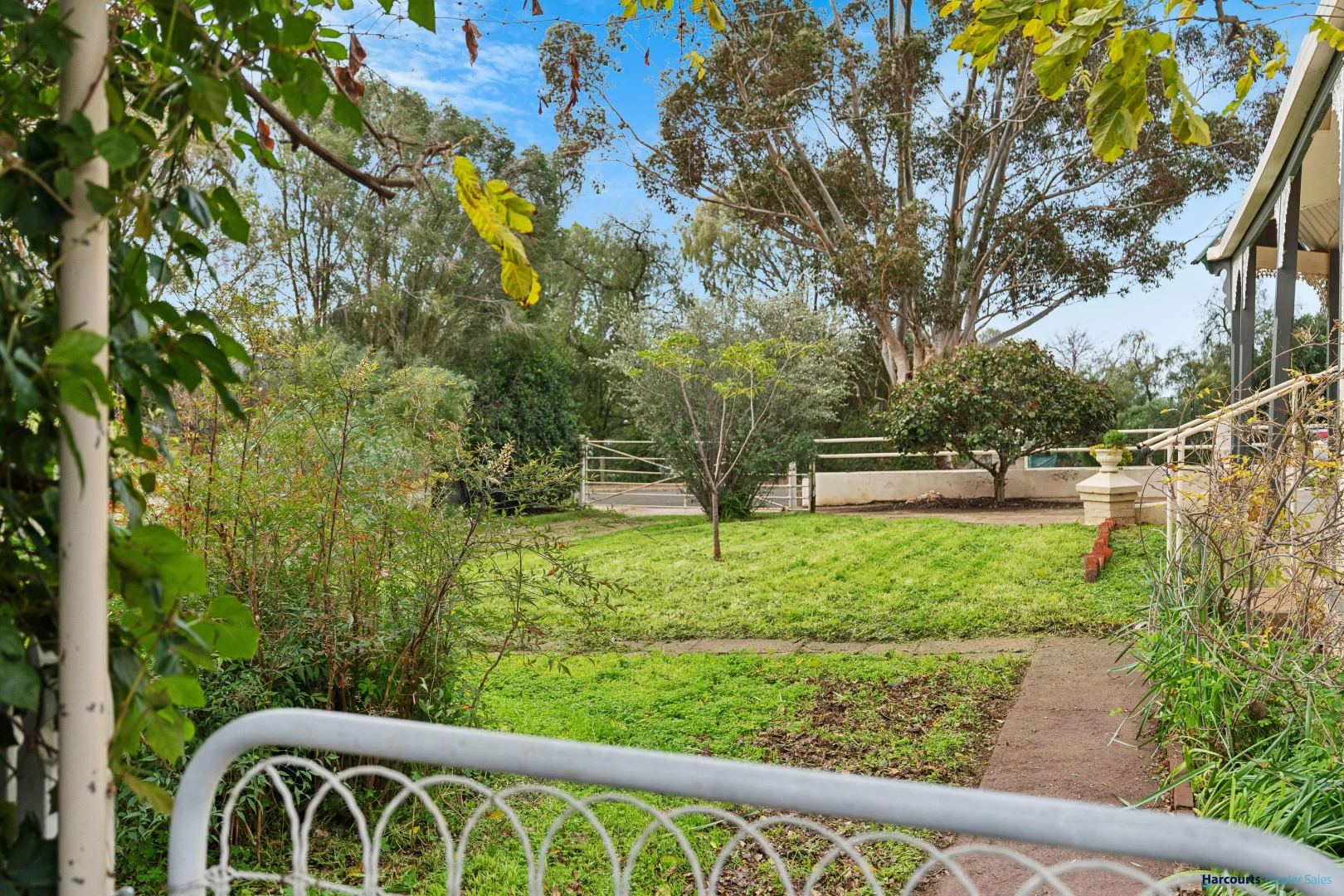 Image 19
