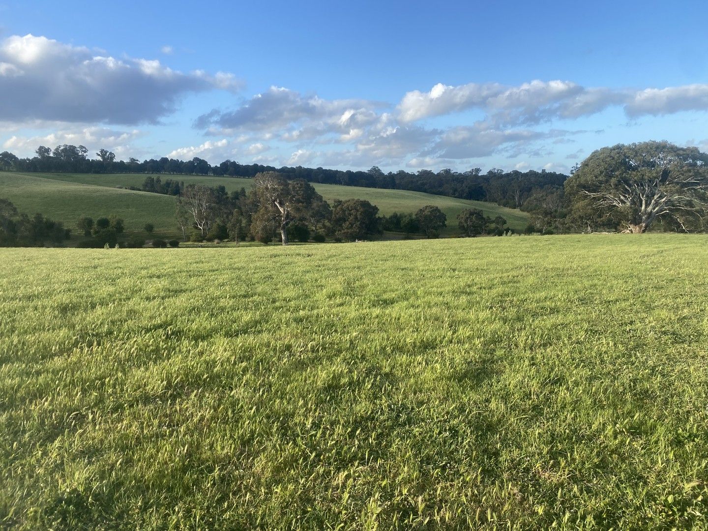 503 Camerons Road, Pigeon Ponds VIC 3407 Vacant Land for Sale