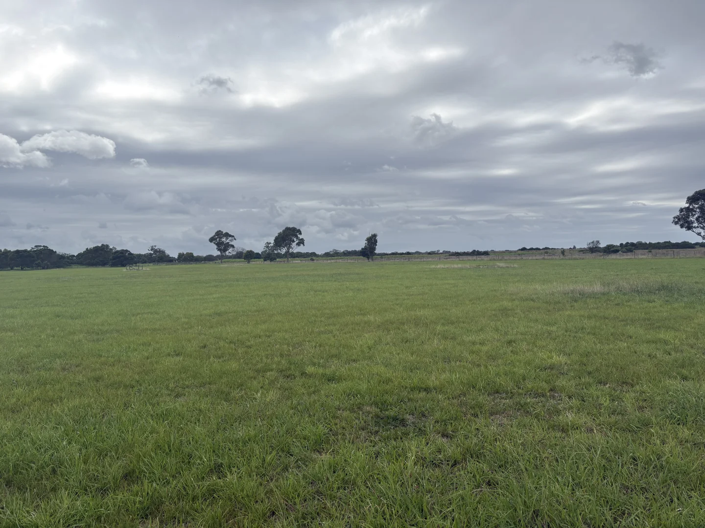 Image 13