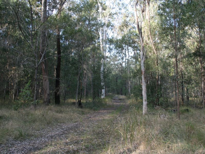 2 1475 Myall Creek Road, BUNGAWALBIN NSW 2469, Image 2