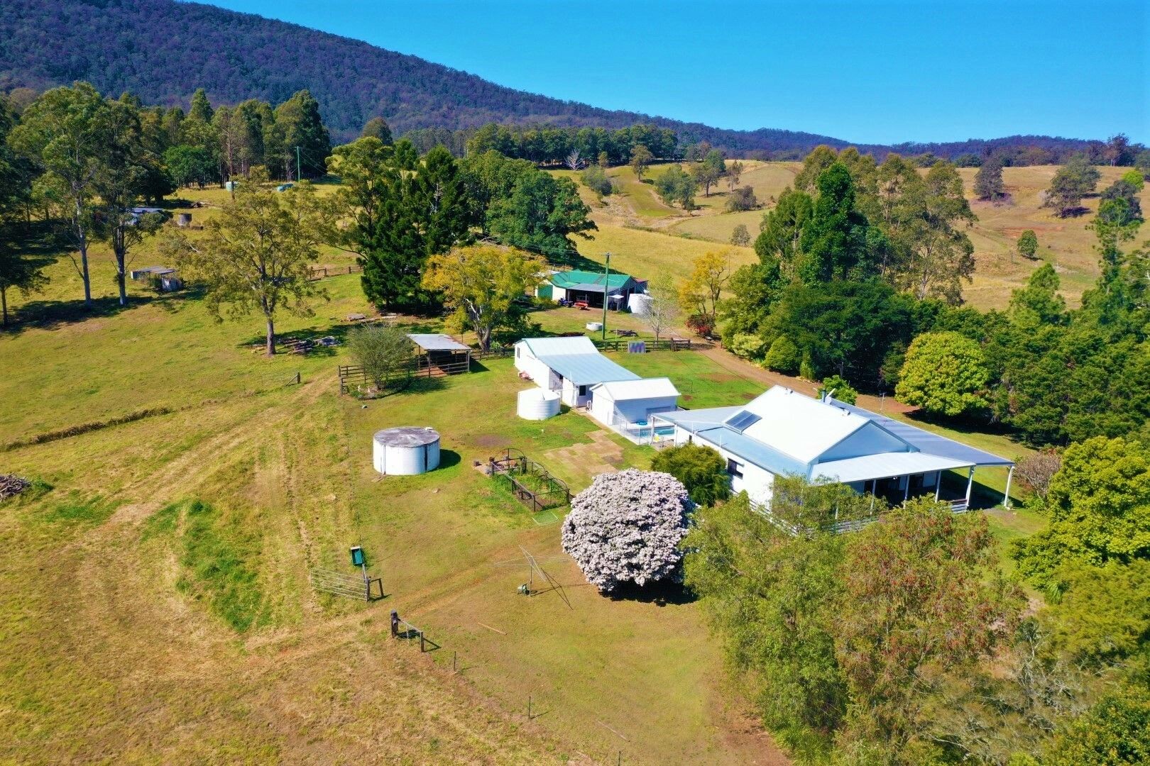 290 Back Creek Road, Bentley NSW 2480 House for Sale 2,000,000
