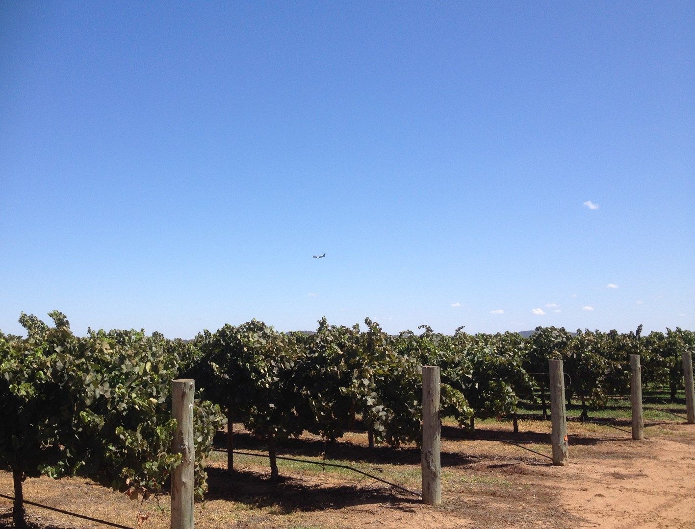 Farm 548B Moseley Road, Bilbul NSW 2680, Image 0