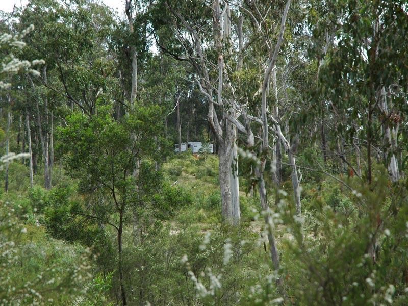 71 Maramingo Road, Maramingo Creek VIC 3891, Image 2