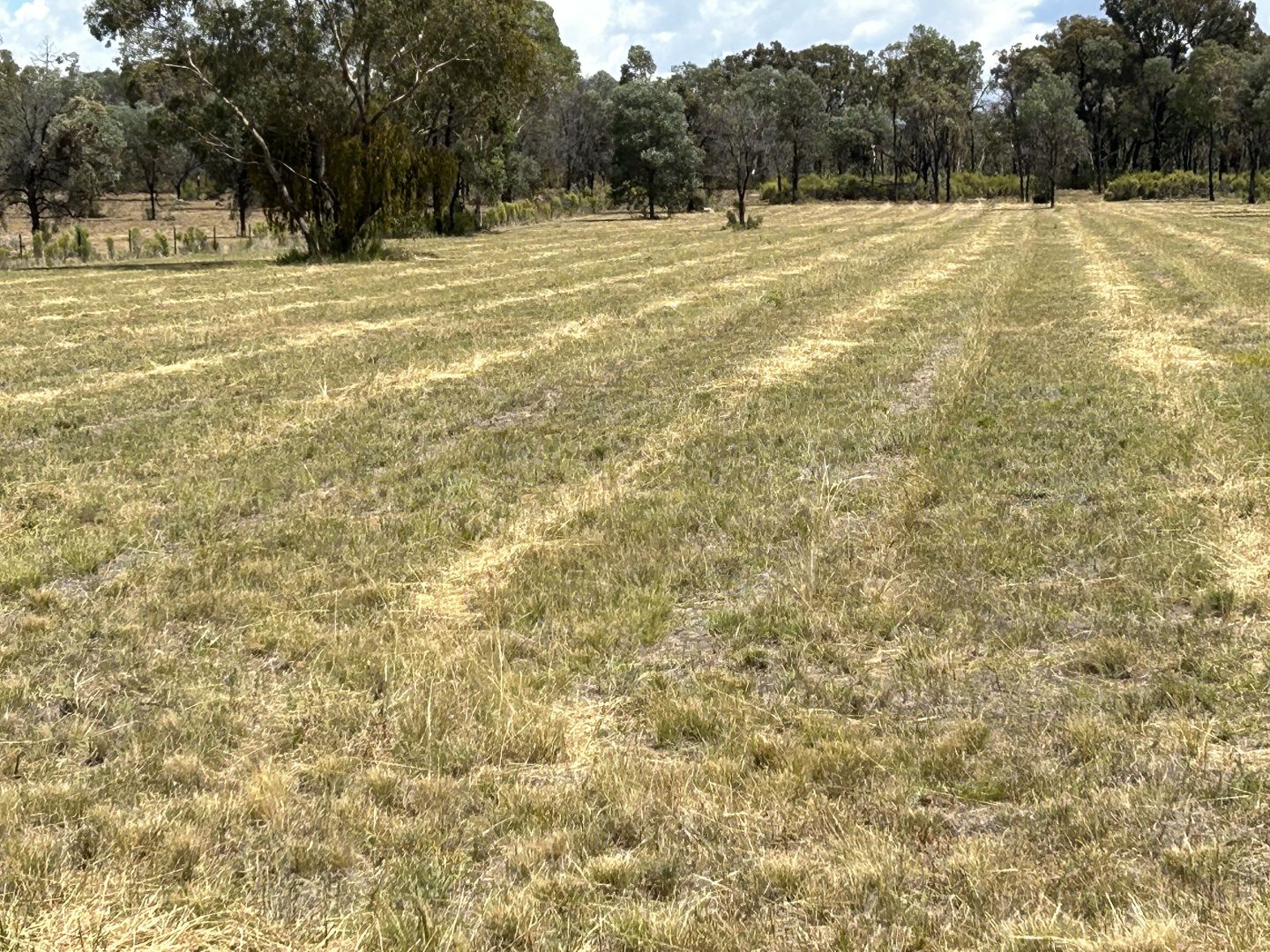 444 Box Ridge Road, Binnaway Property History & Address Research Domain