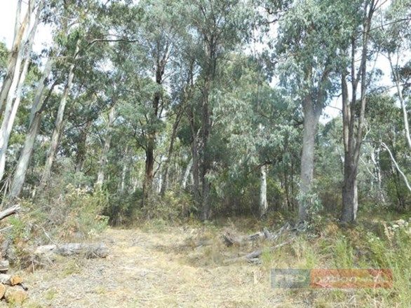 Lot 3 Alta Villa Road, Batlow NSW 2730, Image 1