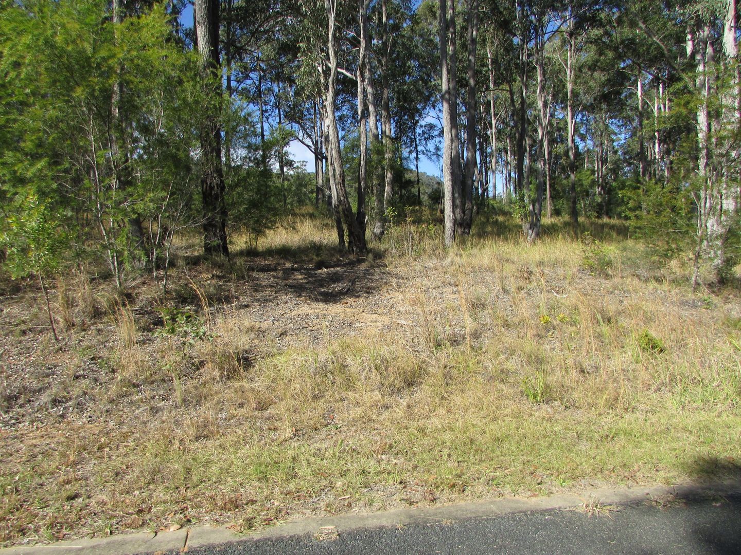 Lot 17 Sherwood Creek Road, Glenreagh NSW 2450, Image 2