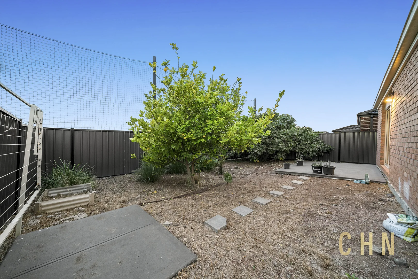Image 11
