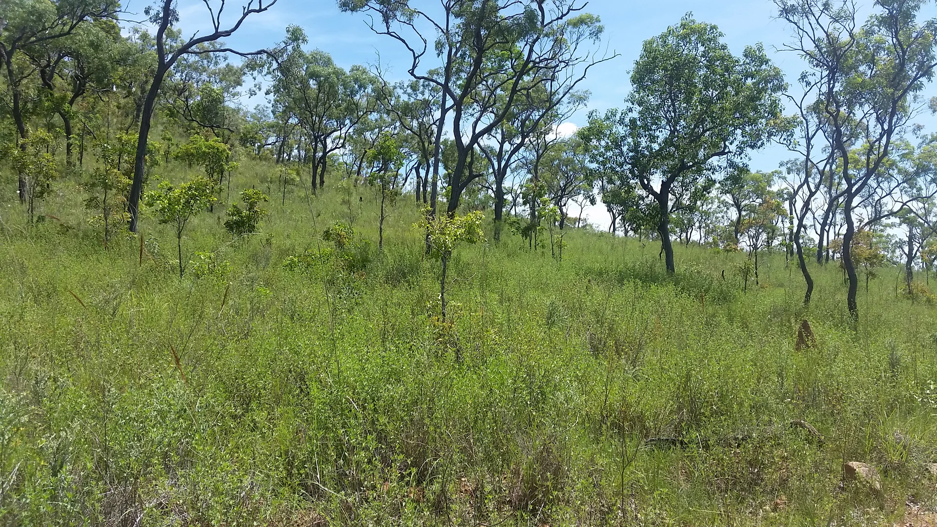 Image 12