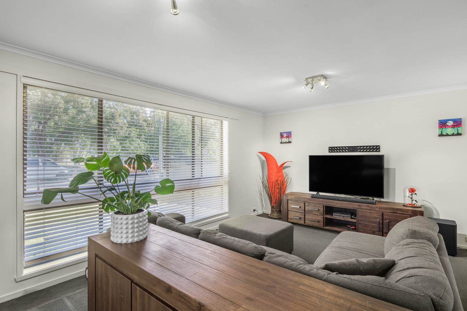 576 Manns Street, Lavington NSW 2641, Image 2