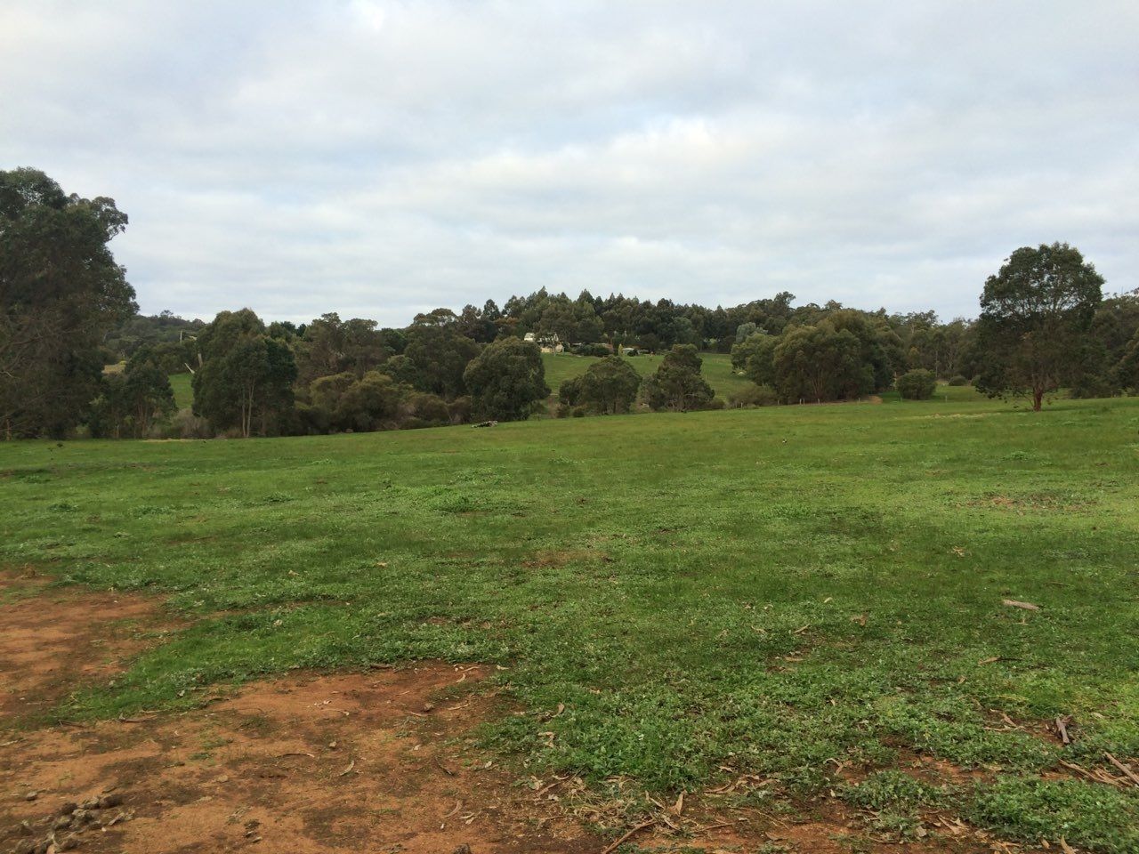 Lot 42 Eastern Rise, Henty WA 6236, Image 2