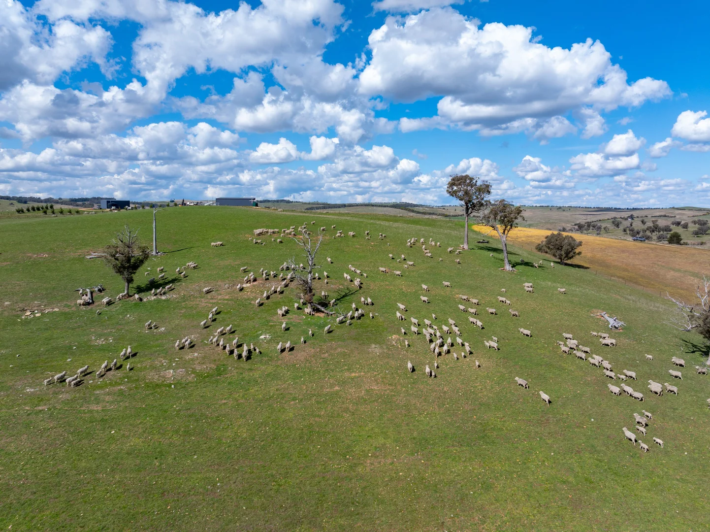 Additional image 8 of 271/1185 Golspie Road, Laggan NSW 2583