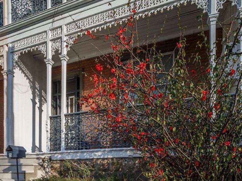 25 Napoleon Street, Battery Point TAS 7004 House For Rent Domain