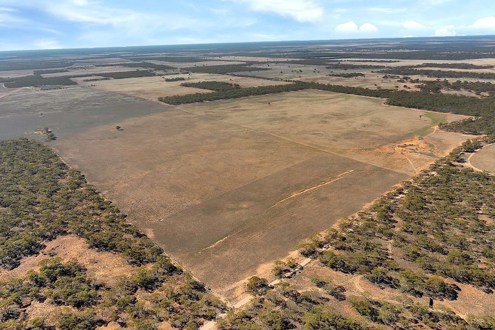 lot 137 Mallee Road, Brownlow SA 5374, Image 2