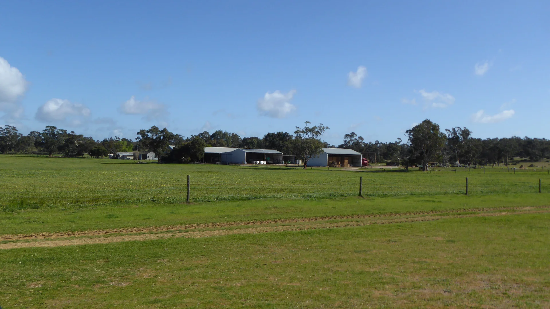 Image 31