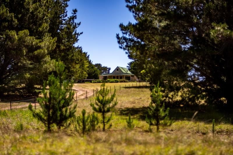 1303 Highland Way, Tallong NSW 2579, Image 0