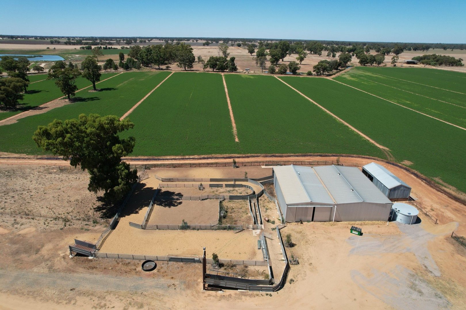 Boundary Park Middleton Road, Deniliquin NSW 2710, Image 0