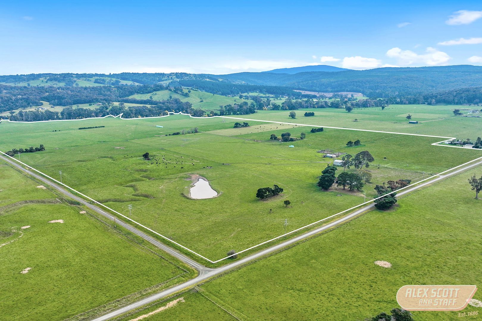 115 Park Road, Glengarry West VIC 3854 Livestock Property for Sale