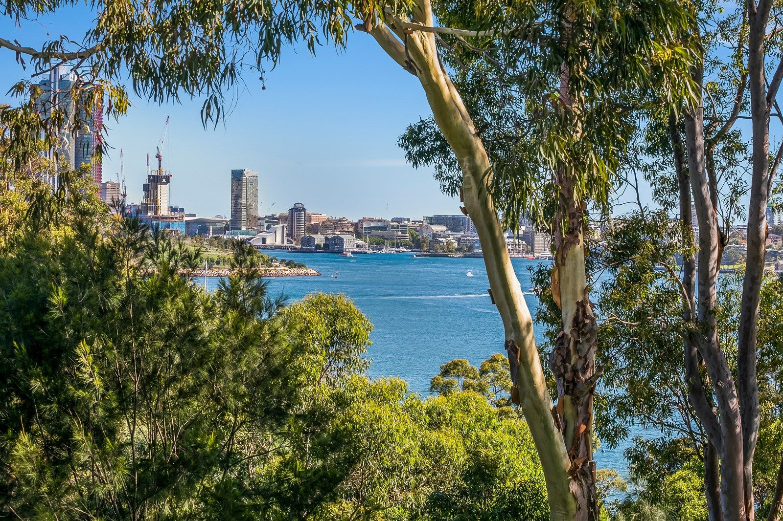 12 Queens Avenue, Mcmahons Point NSW 2060, Image 1