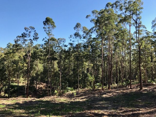 42-58 Missing Link Road, Ilkley QLD 4554