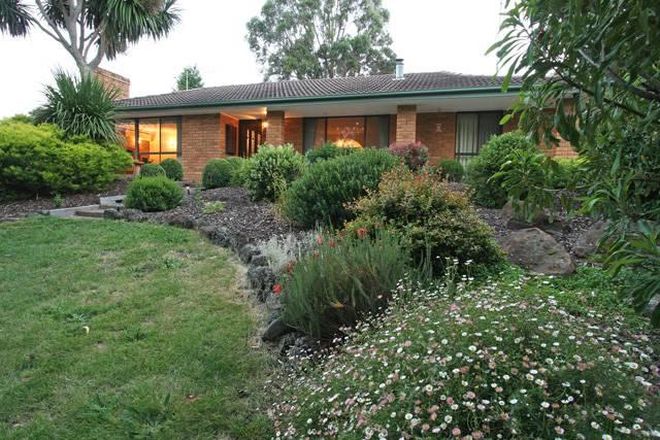 Picture of 187 Red Hill Road, TRARALGON SOUTH VIC 3844