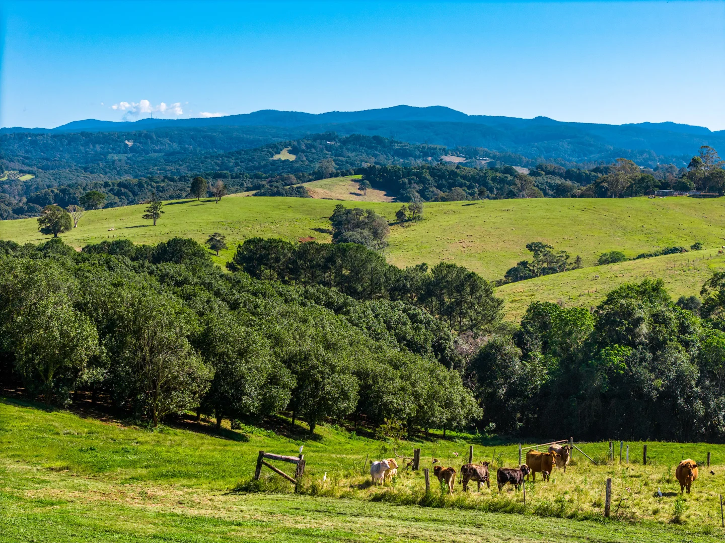 Additional image 15 of 34 Bencluna Lane, Eureka NSW 2480