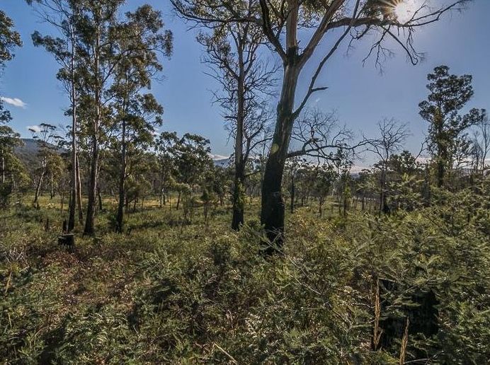 Lot 2 Lanes Tier Road, Ouse TAS 7140, Image 0