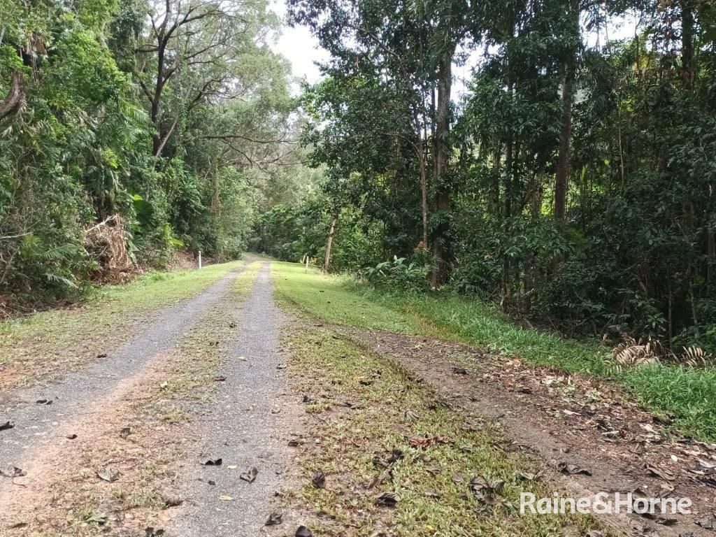 11 Milky Pine Road, Daintree QLD 4873, Image 2